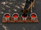 Nosewerkx 1 Quart (Qt) Vented Lid with Magnetic Base ©