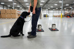 Nosewerkx 1-Gallon Aluminum Can Cleat © - K9 Detection Training
