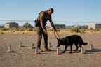 Nosewerkx 1-Gallon Aluminum Can Cleat © - K9 Detection Training